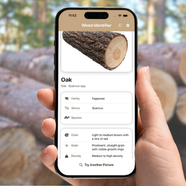 Wood identification results and details